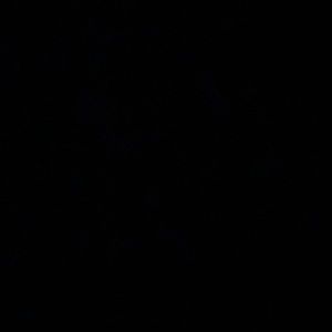 Meet your Posher, Reanna